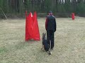 Elton IPO-1 (c) training