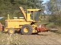koszenie kukurydzy , bartkow gmina korczew