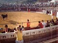 Toros en Riopar Toros en Riopar