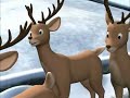 Do You Know Blitzen ??