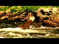 Whitewater Kayaking & Canoeing Safety Tips : Reading River Features for Whitewater Canoeing: Part 2 Whitewater Kayaking & Canoeing Safety Tips : Reading River Features for Whitewater Canoeing: Part 2