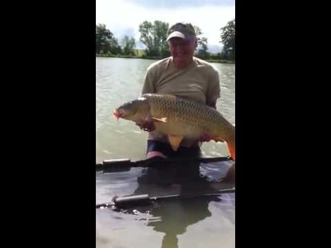 36lb Common at Jonchery, Jul 2013 36lb Common at Jonchery, Jul 2013