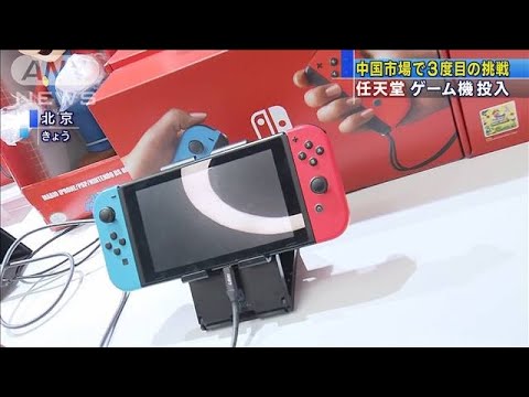 動画
