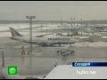 Видеоновость В "Шереметьево" прибыл первый самолет с россиянами — пассажирами лайнера Costa Concordia
