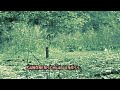 Click here to watch this video Vergleich_ große Kanonenschläge von Weco.mp4