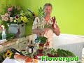 Tuscan Wine Festival EP#51 Tuscan Wine Festival EP#51