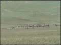 Calaya Gidiyoz 04 Sabri ?im?eko?lu