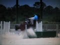 Horse Falls 3