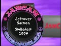 Leftover Salmon performing Euphoria