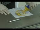 pharm-free.html
