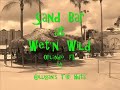 Wet'n Wild Orlando www.tikihuts.net.wmv