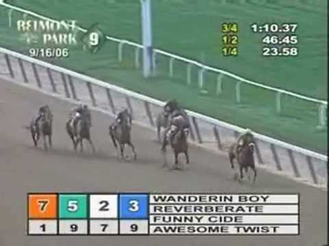 Wanderin' Boy - 2006 Brooklyn Hcp. (read his amazing story)