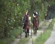 videos de Lits+Lauwers051 Mûntsegroppe02