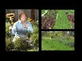 Ask Dave Egbert The Coastal Gardener about Winterizing