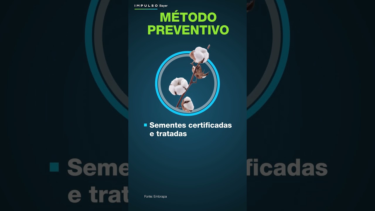 Como controlar daninhas no algodão? | Impulso Minuto