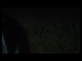 Denial Trailer