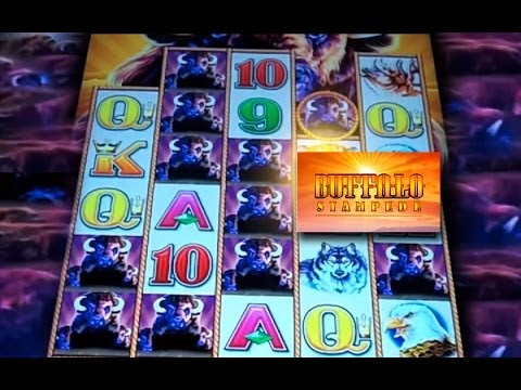 Buffalo stampede slot machine jackpot