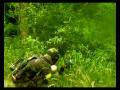 SWAT Paintball II. Scenario