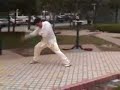 Master Xue Hong En demonstrates 10...