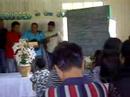 tupang ligaw
