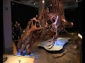 View 17 Echtes Spinosaurus Skelett