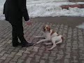 Efsane Pointer KAN \ Efsane Pointer KAN \