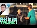 RIDE IN THE TRUNK!
