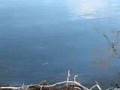 Ice, Water, Waves, Wind