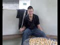 Guido\