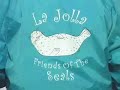 preserving la jolla harbor seals  casa beach