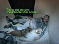 funny future ? just see if your futute is funny comedy + 1 funny dogs