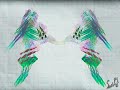 SETHD8 - NATIVE LIGHT DANCE!