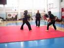 STICK FIGHTING 3