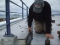 Mastic Asphalt Filleting