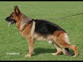 Jake Vom Rivergreen's first 15 months