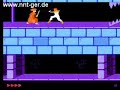 prince of persia (nes) speed run in 9 minute