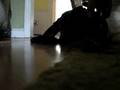 Moose the Great Dane's E-Harmony Commercial