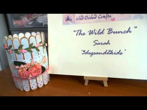 how to use wp paintbrush