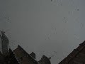 la neve