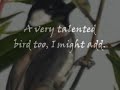 The Song of the White-cheeked Bulbul