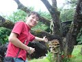sapa and tenan group part 2 sapa and tenan group part 2