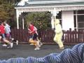 Hilarious! My Mate In A Chicken Suit Ghosting Some Girls
