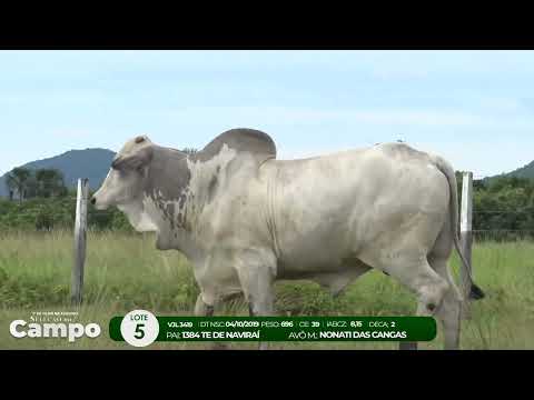 1 De Olho na Fazenda SELEO DO CAMPO