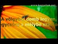 Várj, ember szíve - KERESZTÚT
