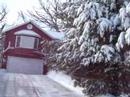 Snowfall 2008 (1 of 2)