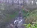 TROGs Mountain Biking Wipeouts TROGs Mountain Biking Wipeouts