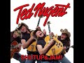 Ted%20Nugent%20-%20Screaming%20Eagles