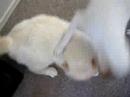 Aeris vs Lily Part 3