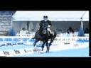 To Two Amazing Horses
