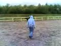 Snelle galop
